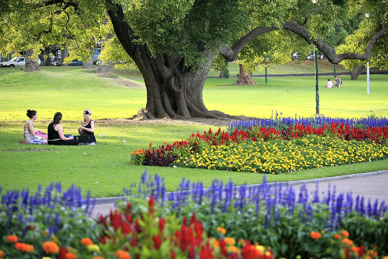 Friends sitting on the grass for a picnic under a shady tree